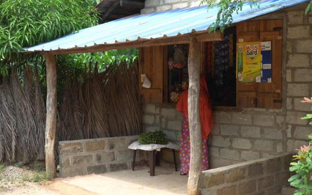 Self-Employment Support Project 2025 Empowering Dreams, Building Futures: